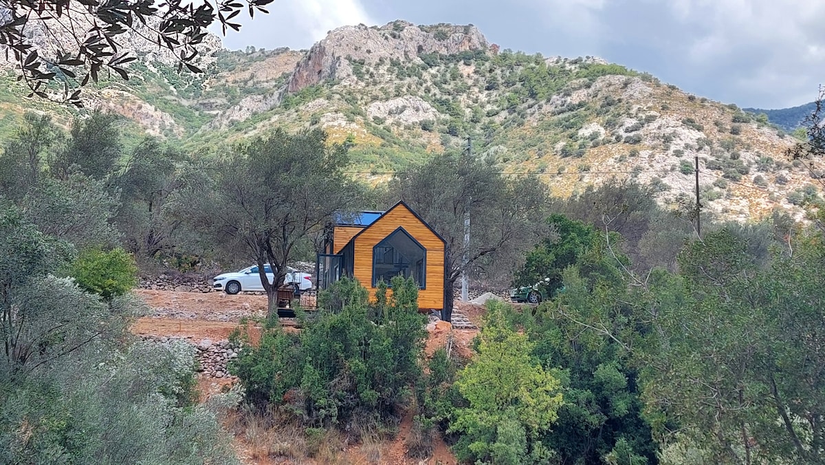 可欣赏独特山景的微型住宅