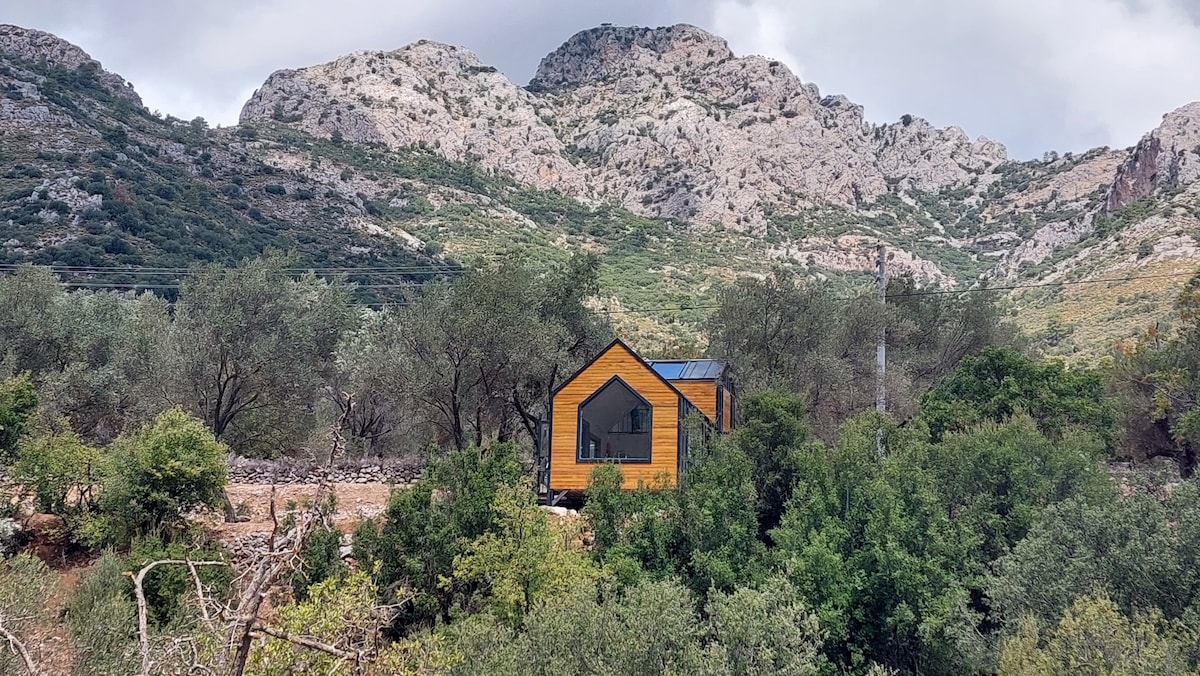 可欣赏独特山景的微型住宅