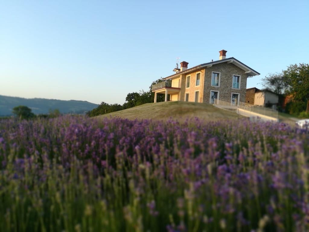 villa nel cuore delle langhe