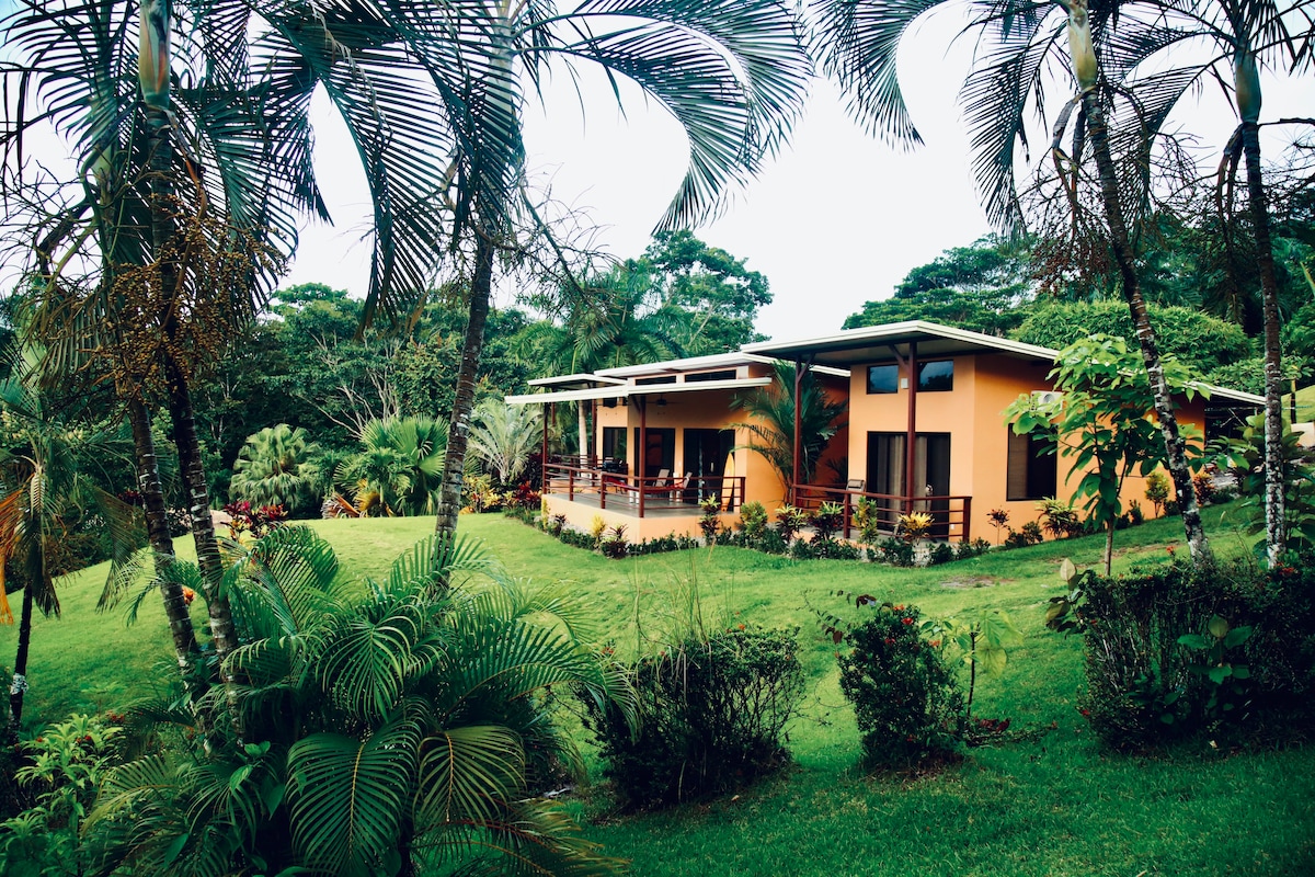 Modern villa with stunning jungle views