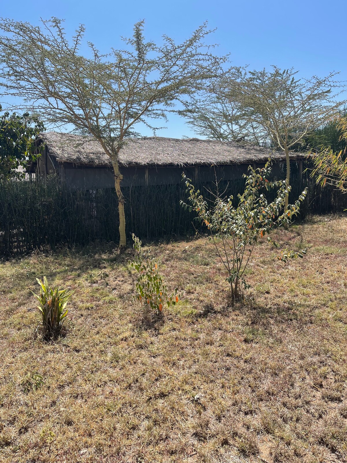 Mara Silalei Hotel near Sekenani