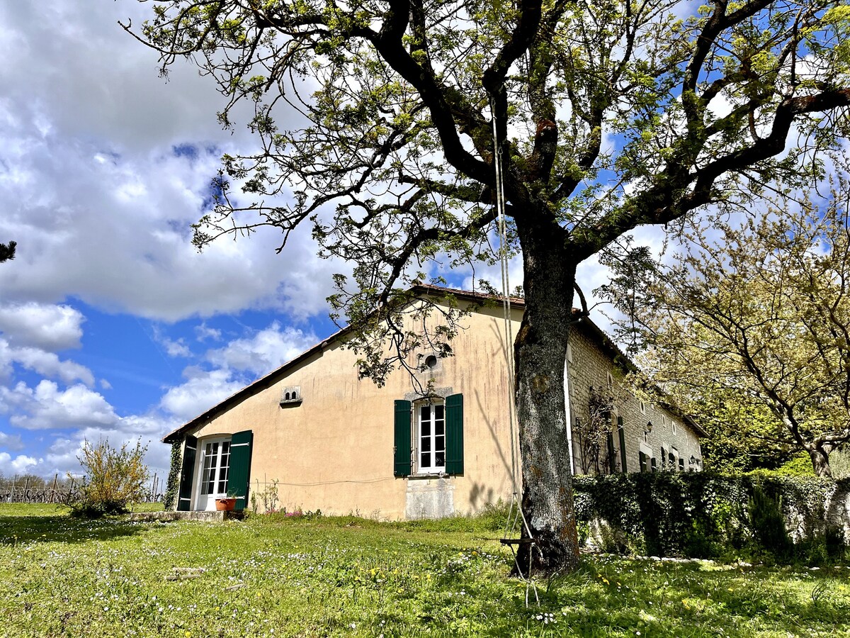 Renovated farmhouse with pool and vineyard views.