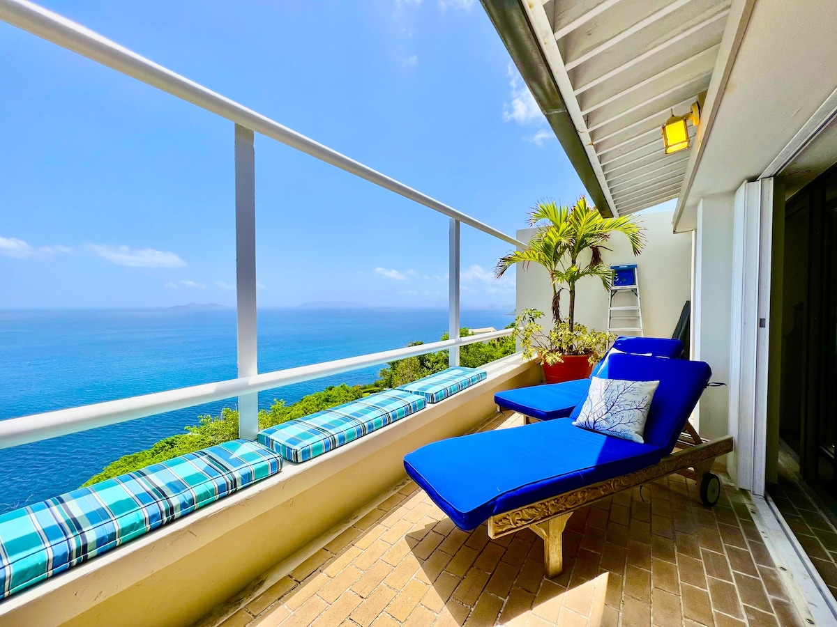 2 Bed Condo w/Full Ocean Views & Guarded Community