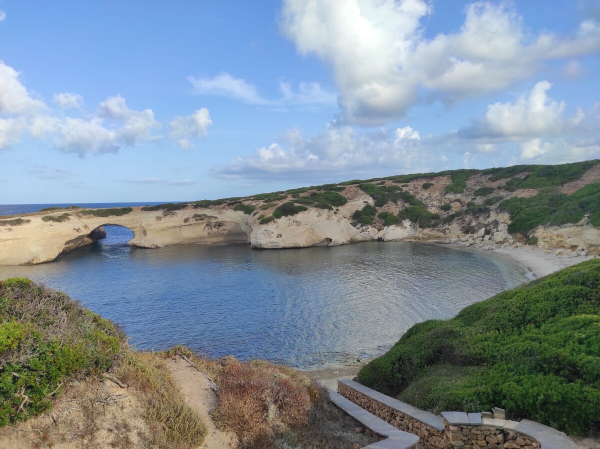 Lungomare Chess