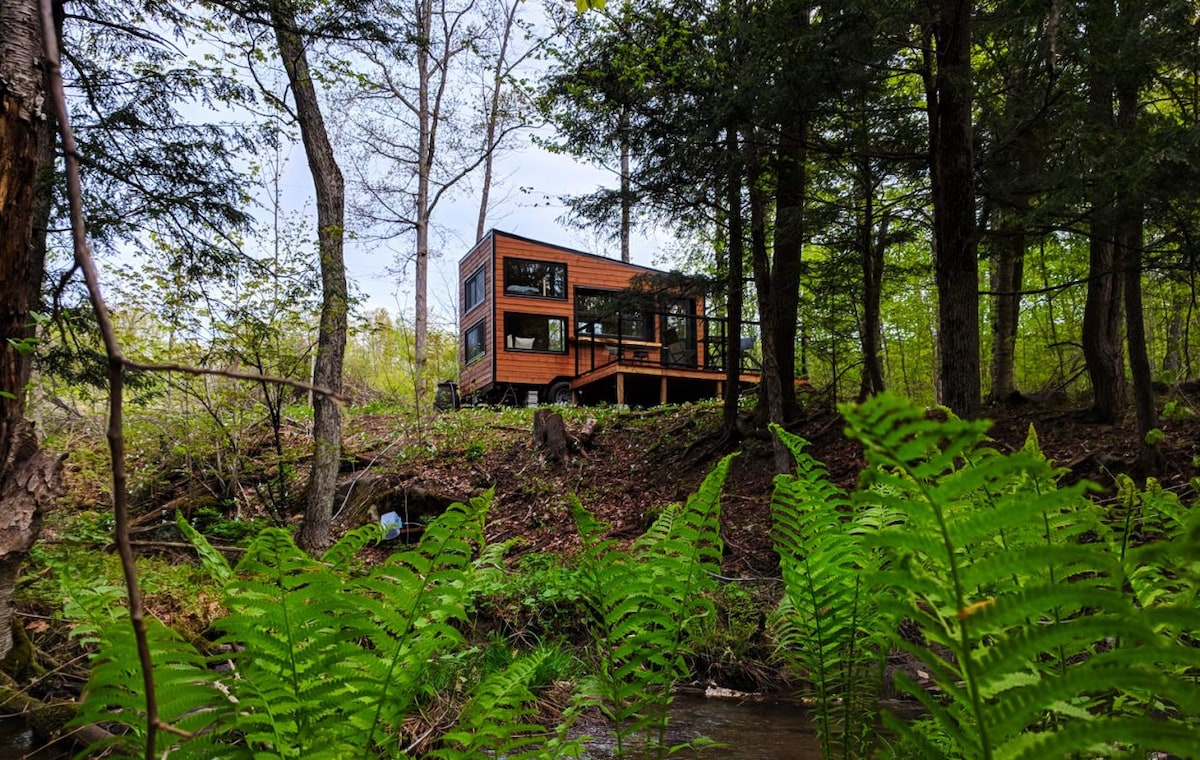 Joni Cabin |私密荒野度假胜地