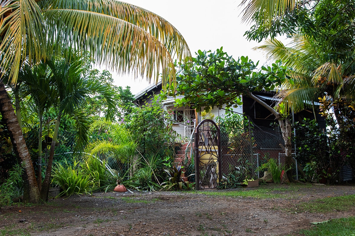 Eco-friendly, Emmanuel's View in Nature