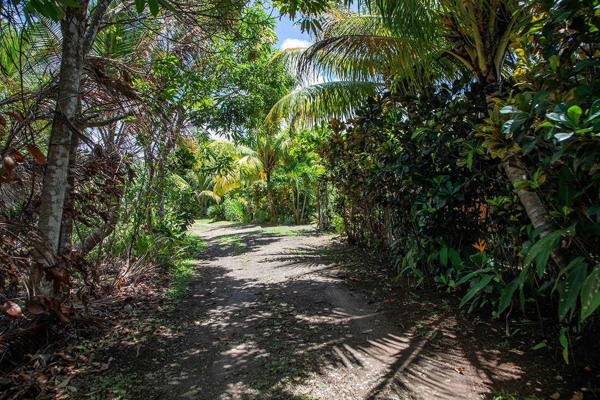 Eco-friendly, Emmanuel's View in Nature