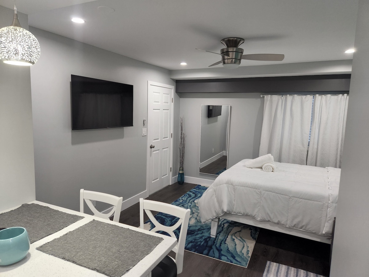 舒适的单间公寓，弗农山/布朗克斯纽约套件、卫生间和普林