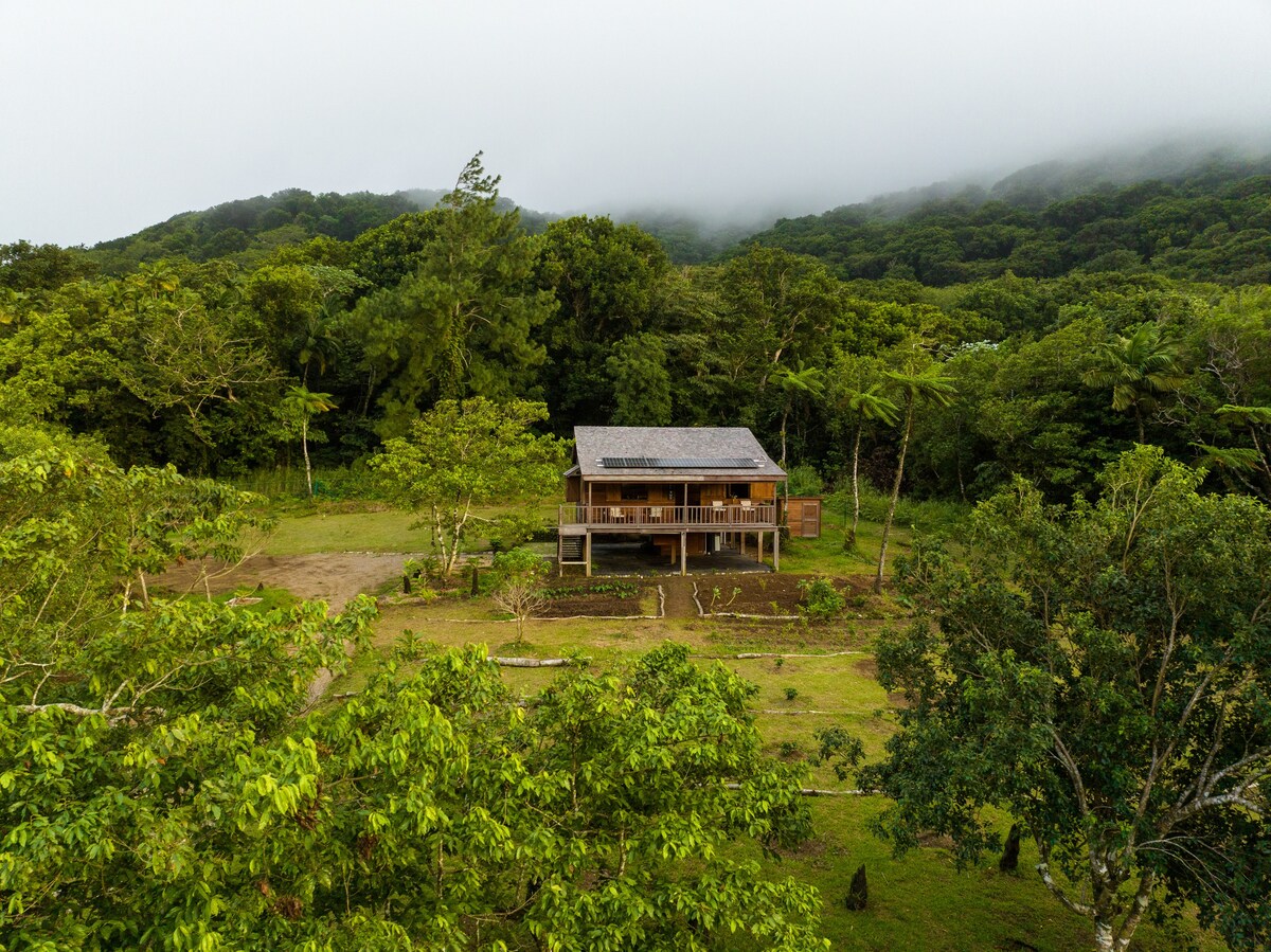 Liamuiga自然农场雨林小木屋