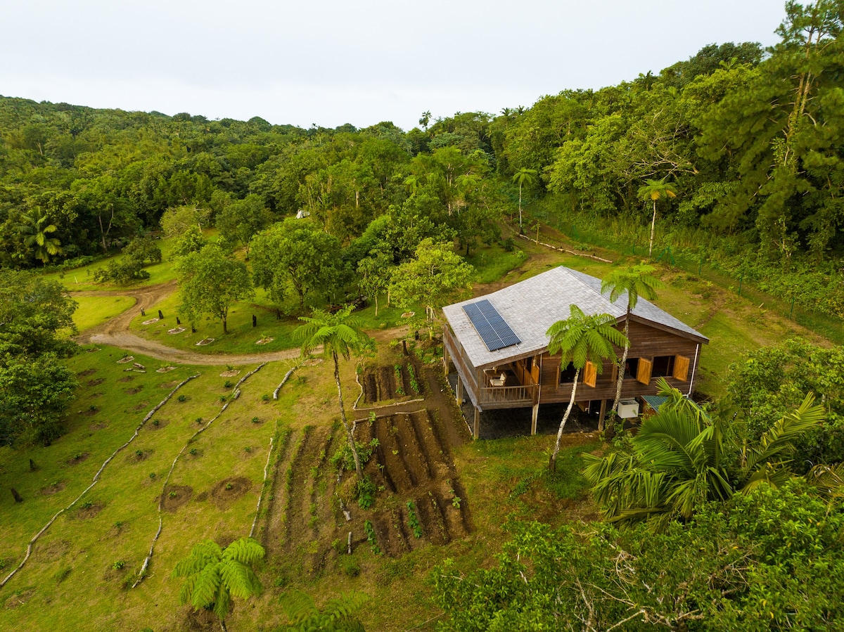 Liamuiga自然农场雨林小木屋
