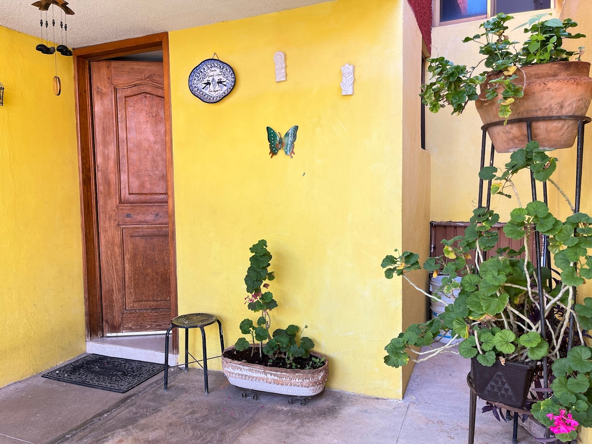 新绿屋（ NUEVO Green House ） ，萨卡特卡斯（ Zacatecas ） ，距离Centro 12分钟！