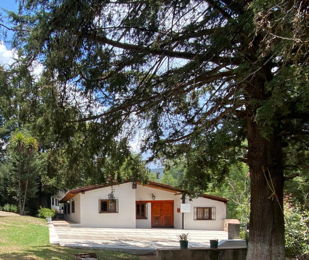 Preciosa cabaña en el bosque