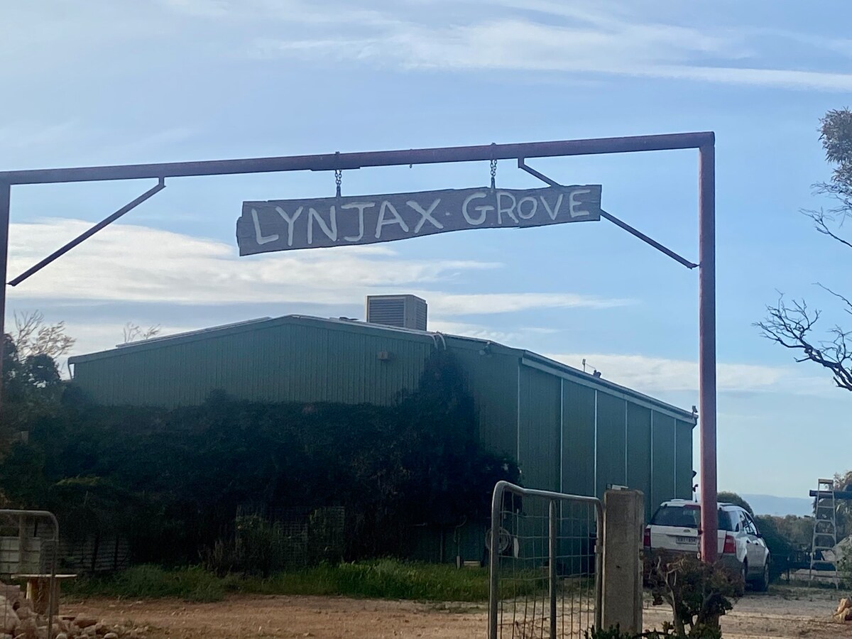 Lynjax Grove农家乐