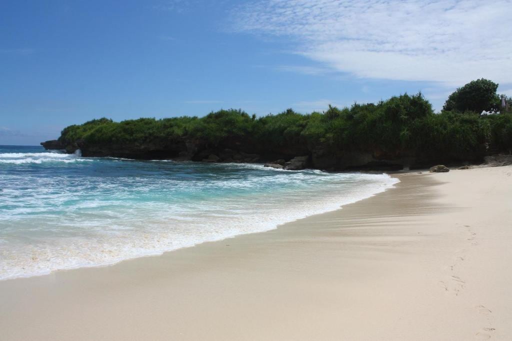 蓝梦岛（ Lembongan ）美丽的海滨小屋-花园景观