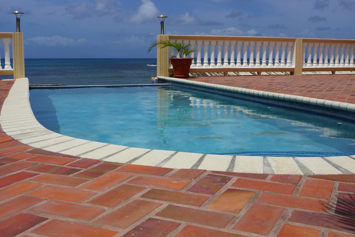 Laborie Beach House with infinity pool-Unit2