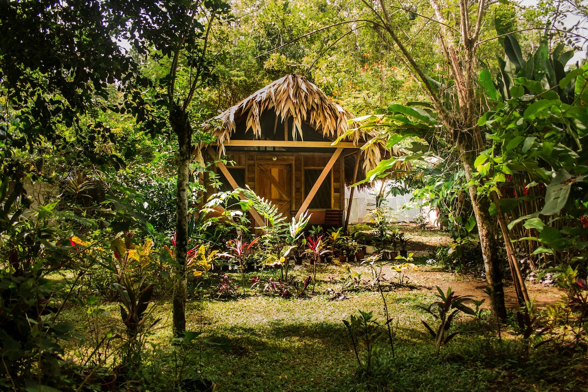 Cahuita Jungle Cabins