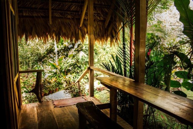 Cahuita Jungle Cabins