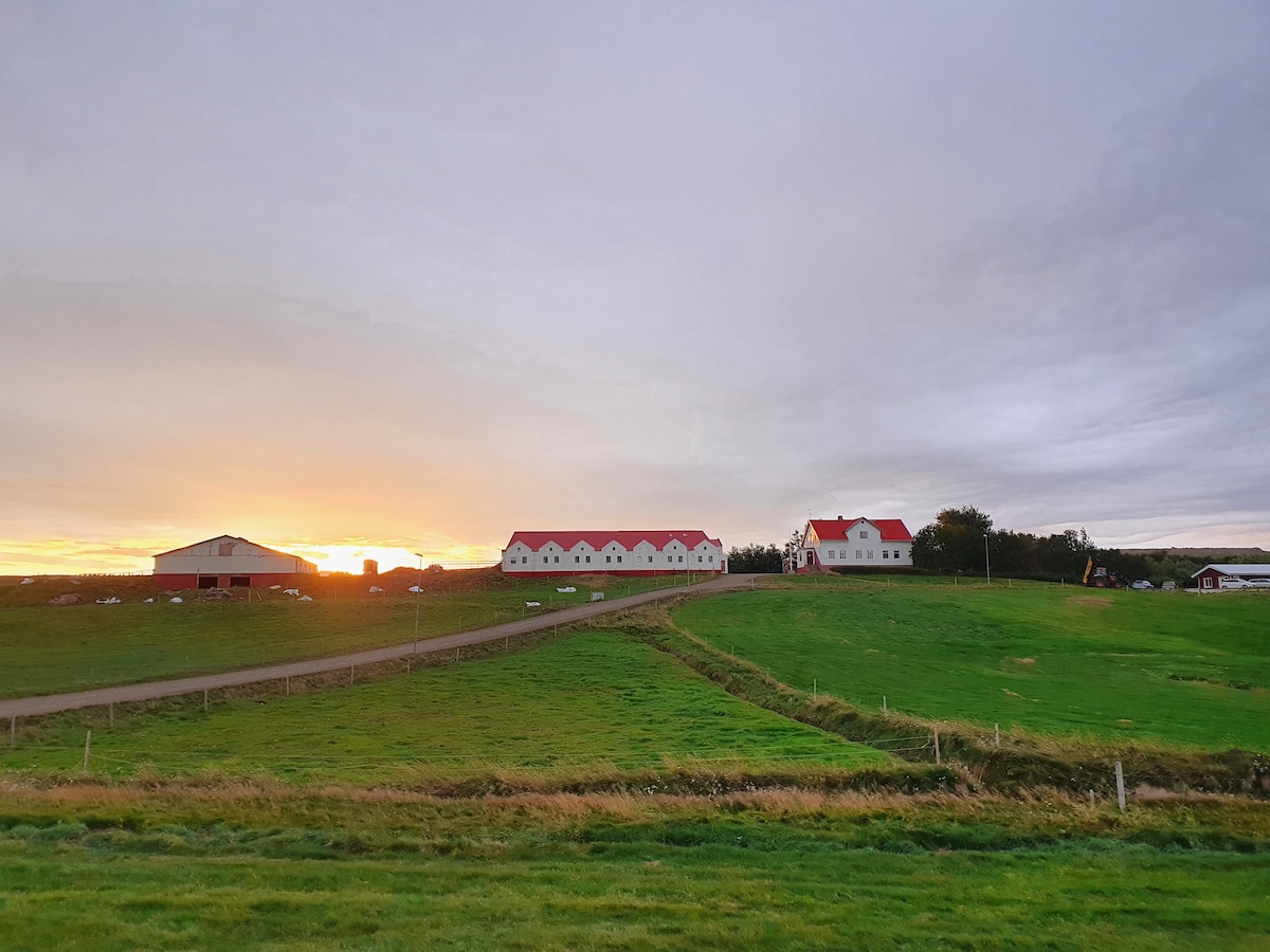 Helluland Guesthouse ： Skagafjörður 1的舒适住宿