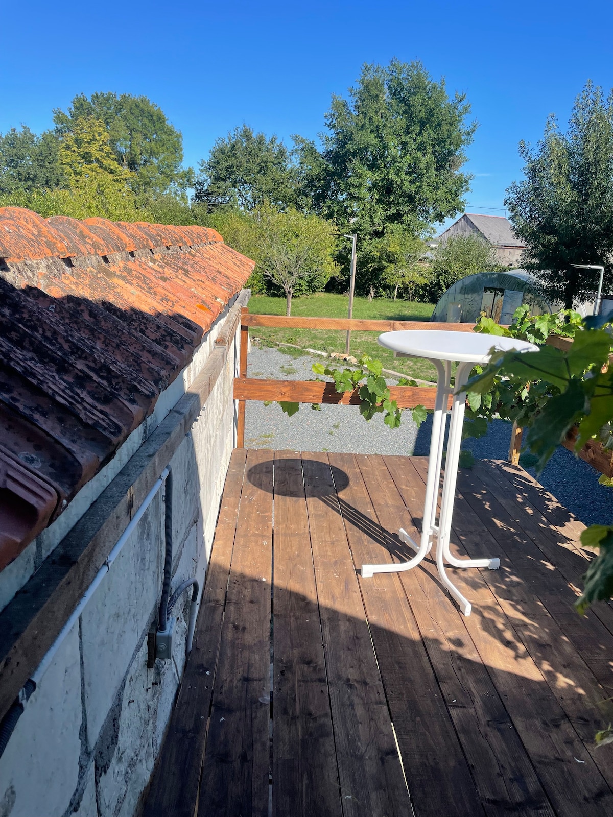 Saumur Studio "La Vigne" 2/4 personnes au calme