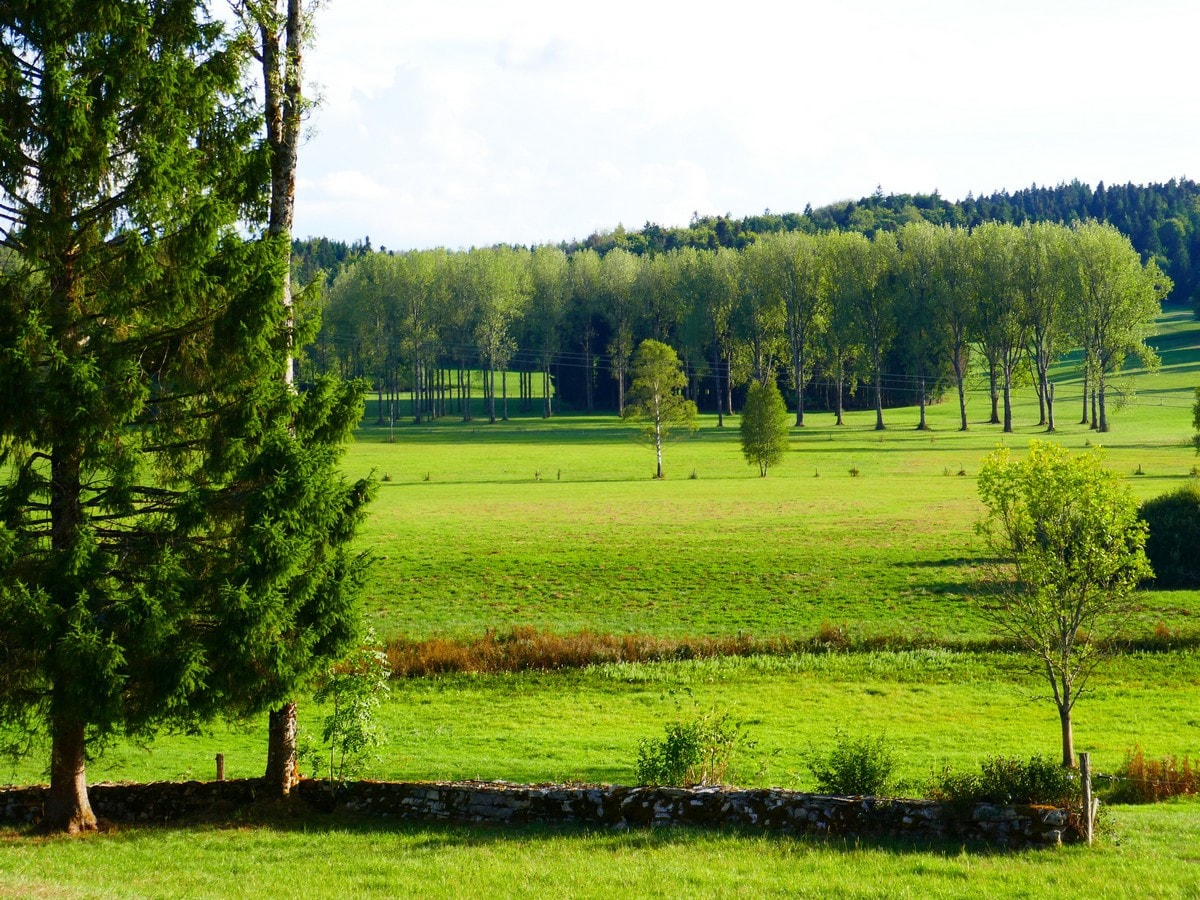 Chalet des Sapins : Gîte 3* calme et accueillant