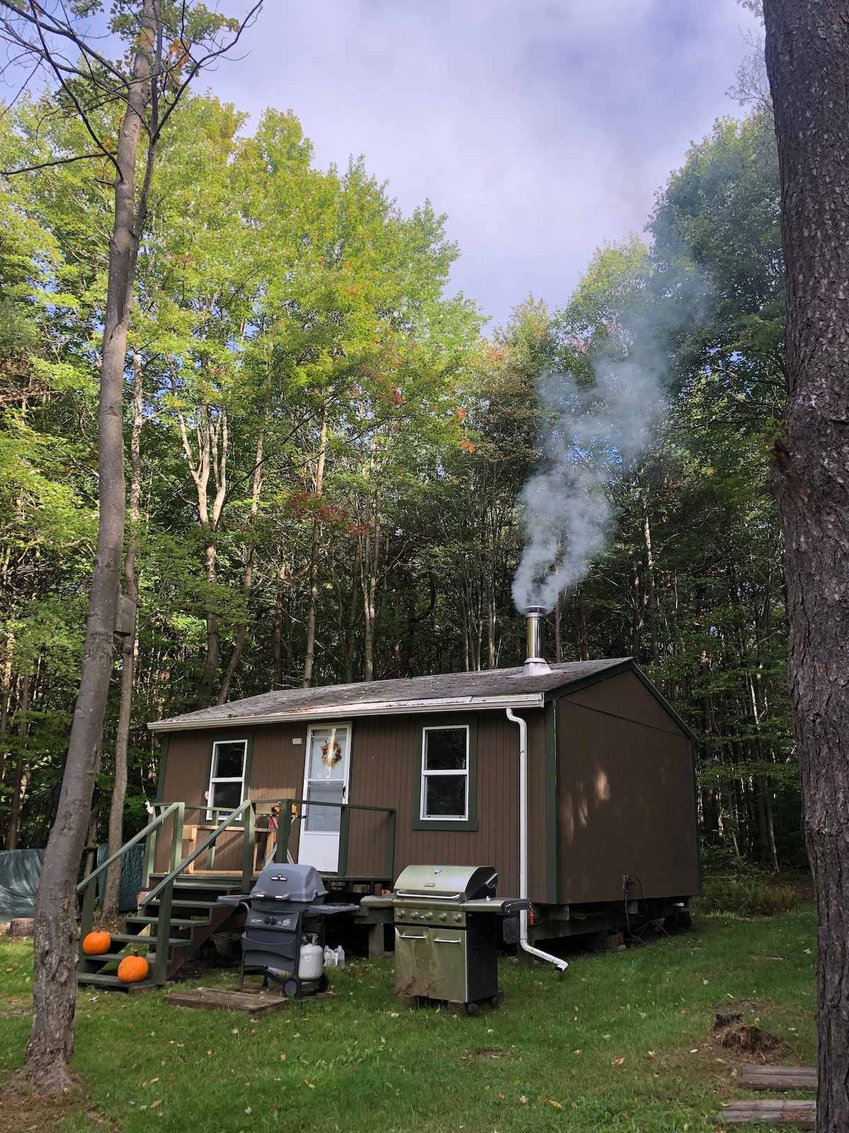 Rustic Cabin on The Farm *newly renovated*