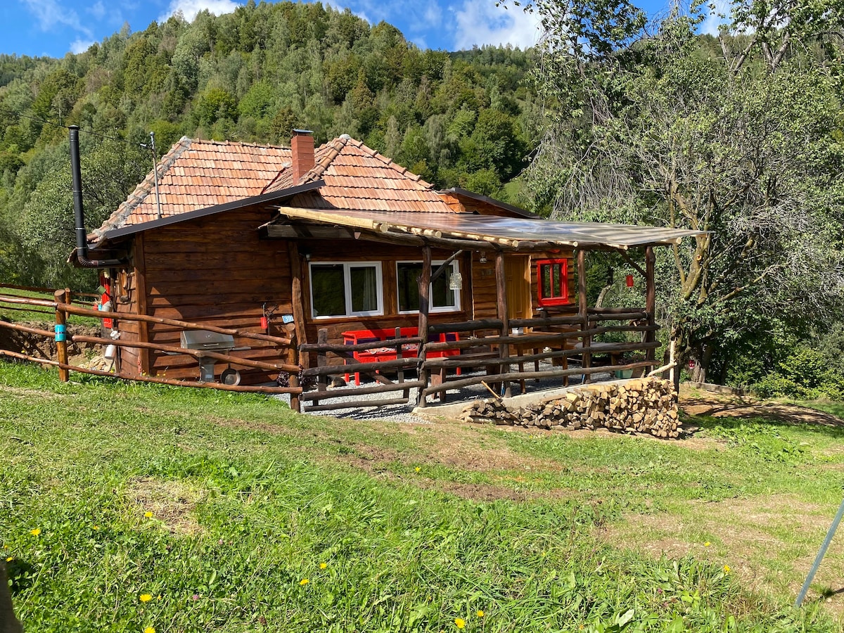 特兰西尔瓦尼亚山脉的舒适小屋