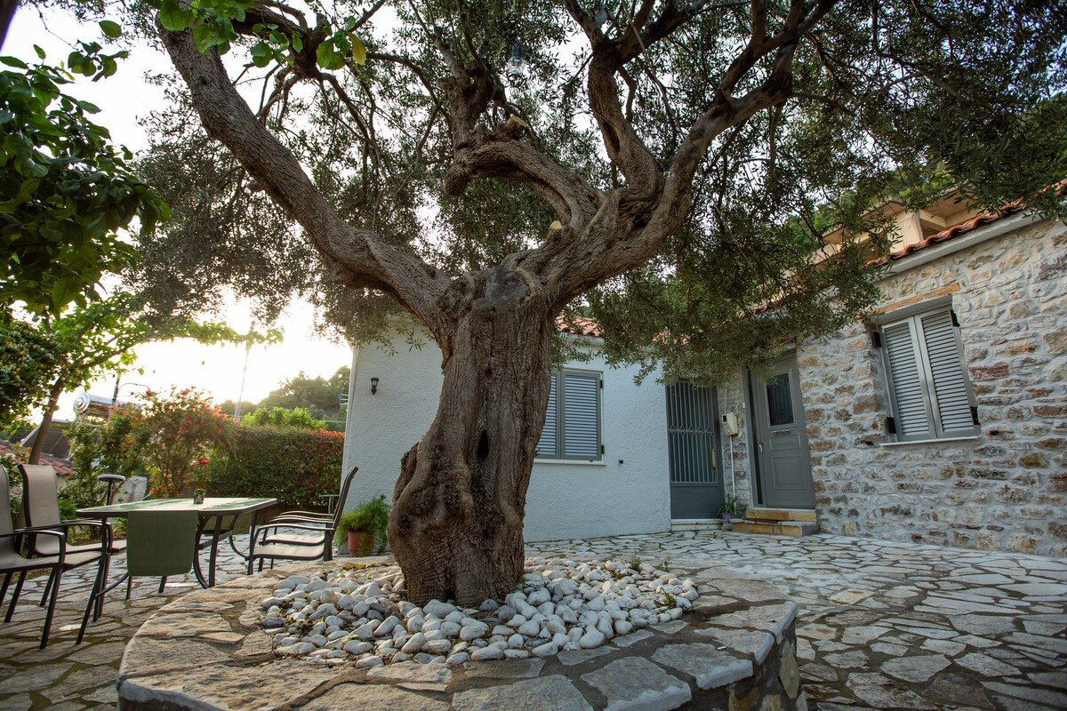 Μονοκατοικία - The Olive Tree