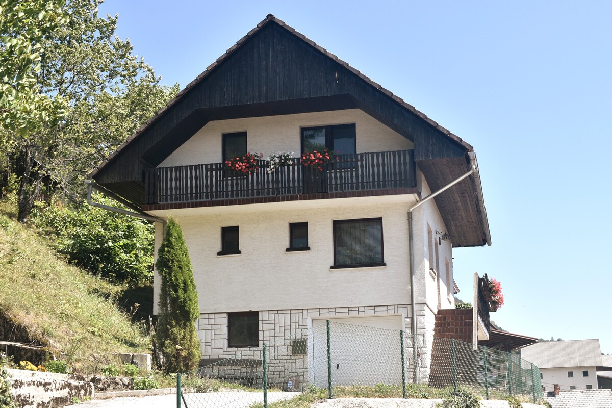 Jelovica sunside family house