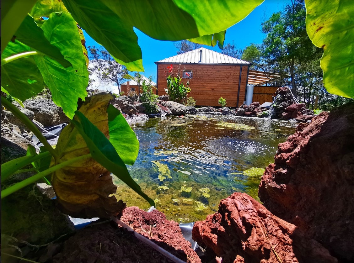 Tamar'INN Chambre "Piton de l'eau" Jacuzzi + Sauna privatif