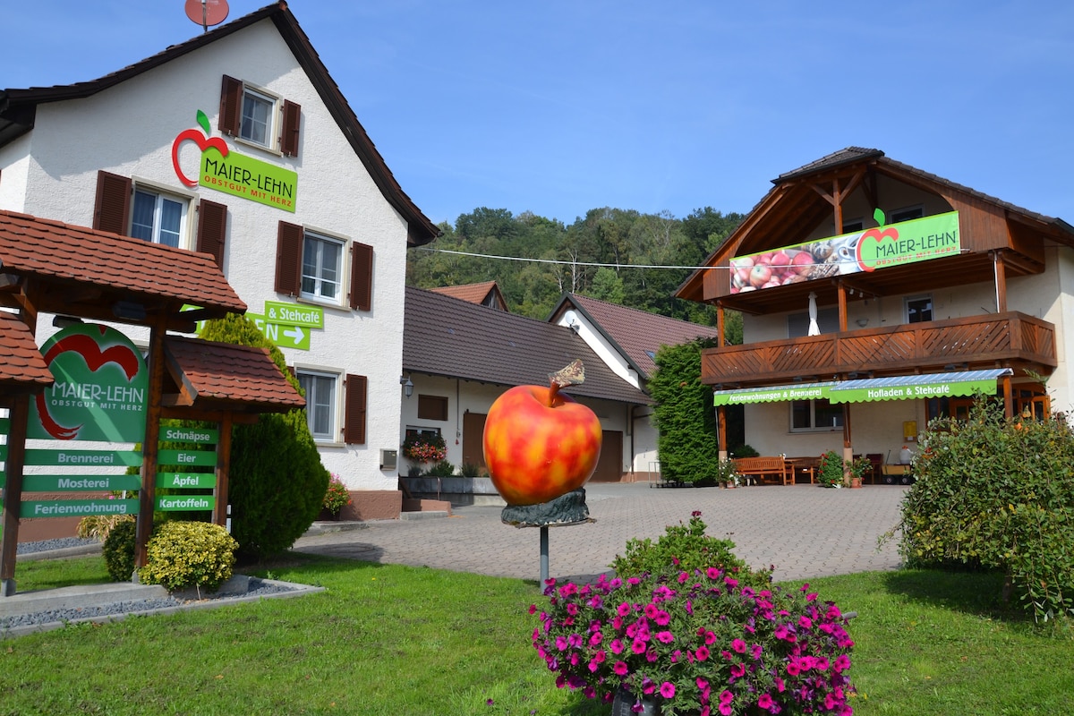 Moderne Ferienwohnung auf dem Obstgut mit Herz