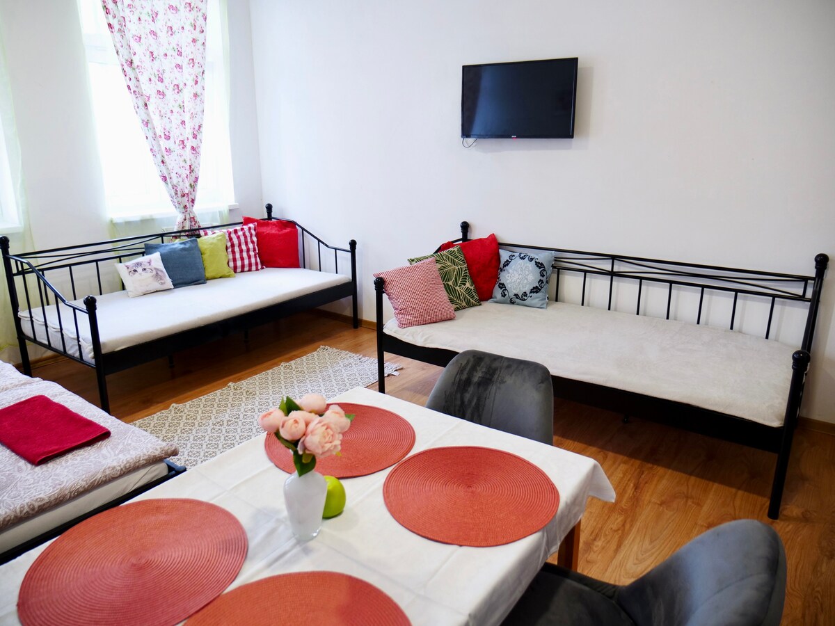 Light And Bright Family Apartment Central Teplice