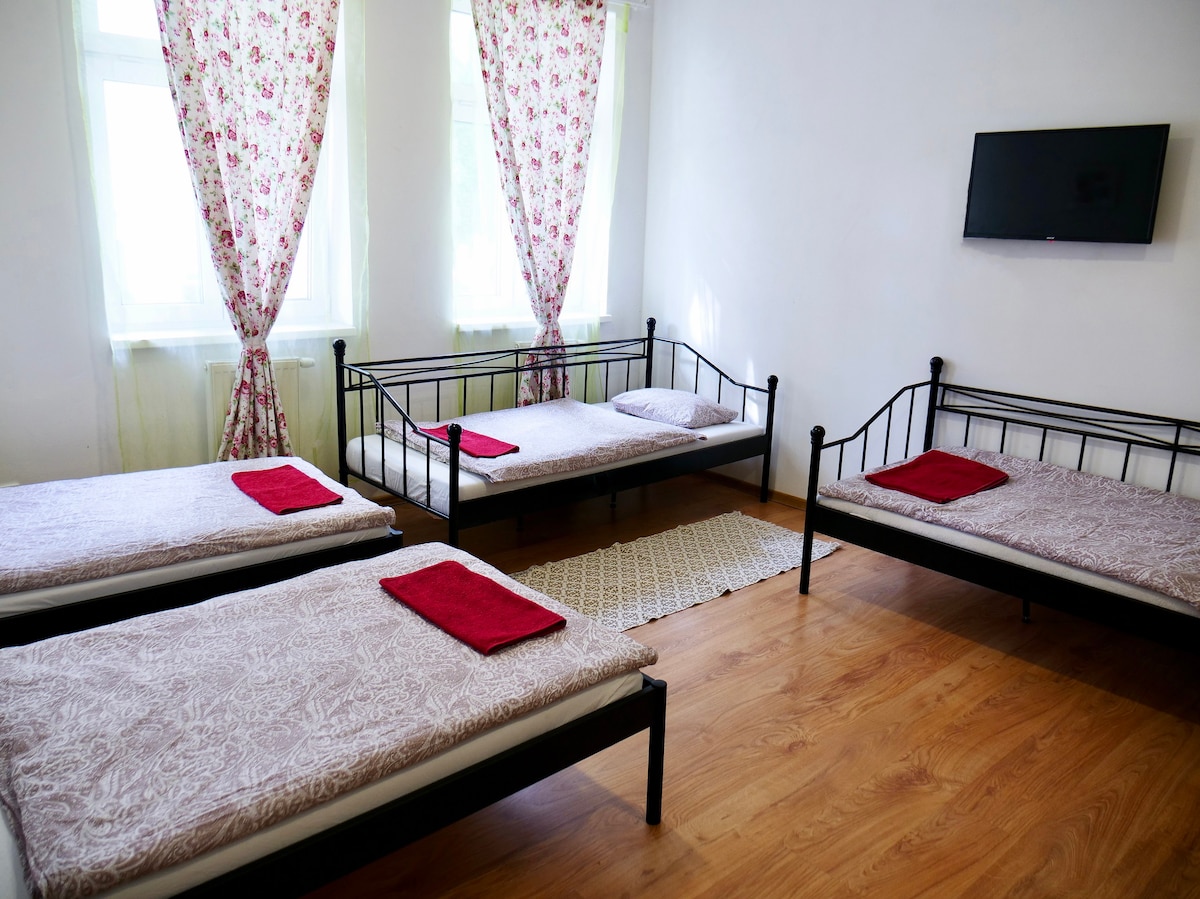 Light And Bright Family Apartment Central Teplice