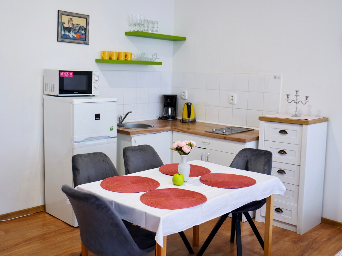 Light And Bright Family Apartment Central Teplice
