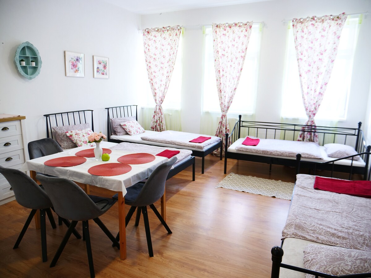 Light And Bright Family Apartment Central Teplice