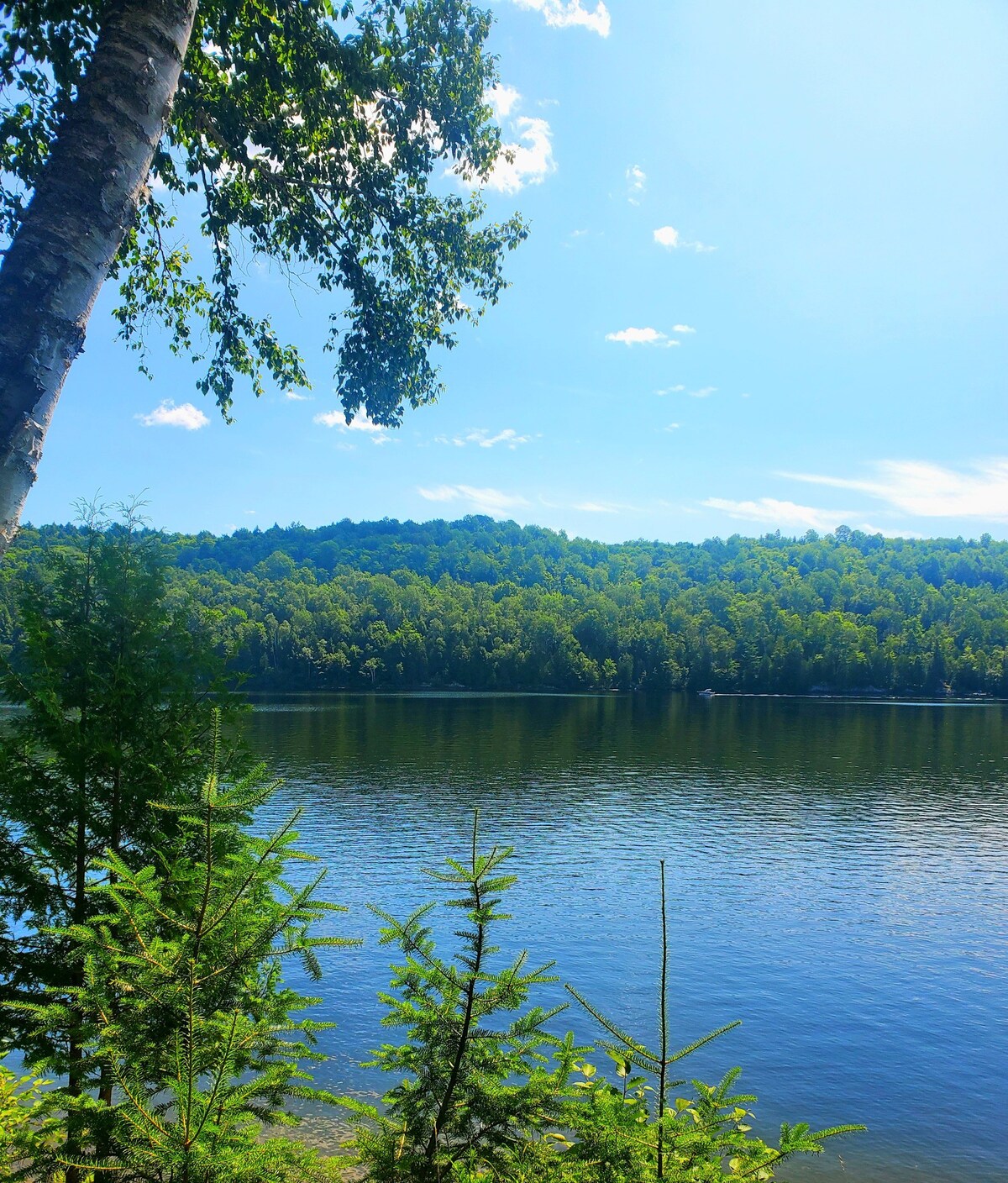 Waterfront cottage - Gagnon Lake