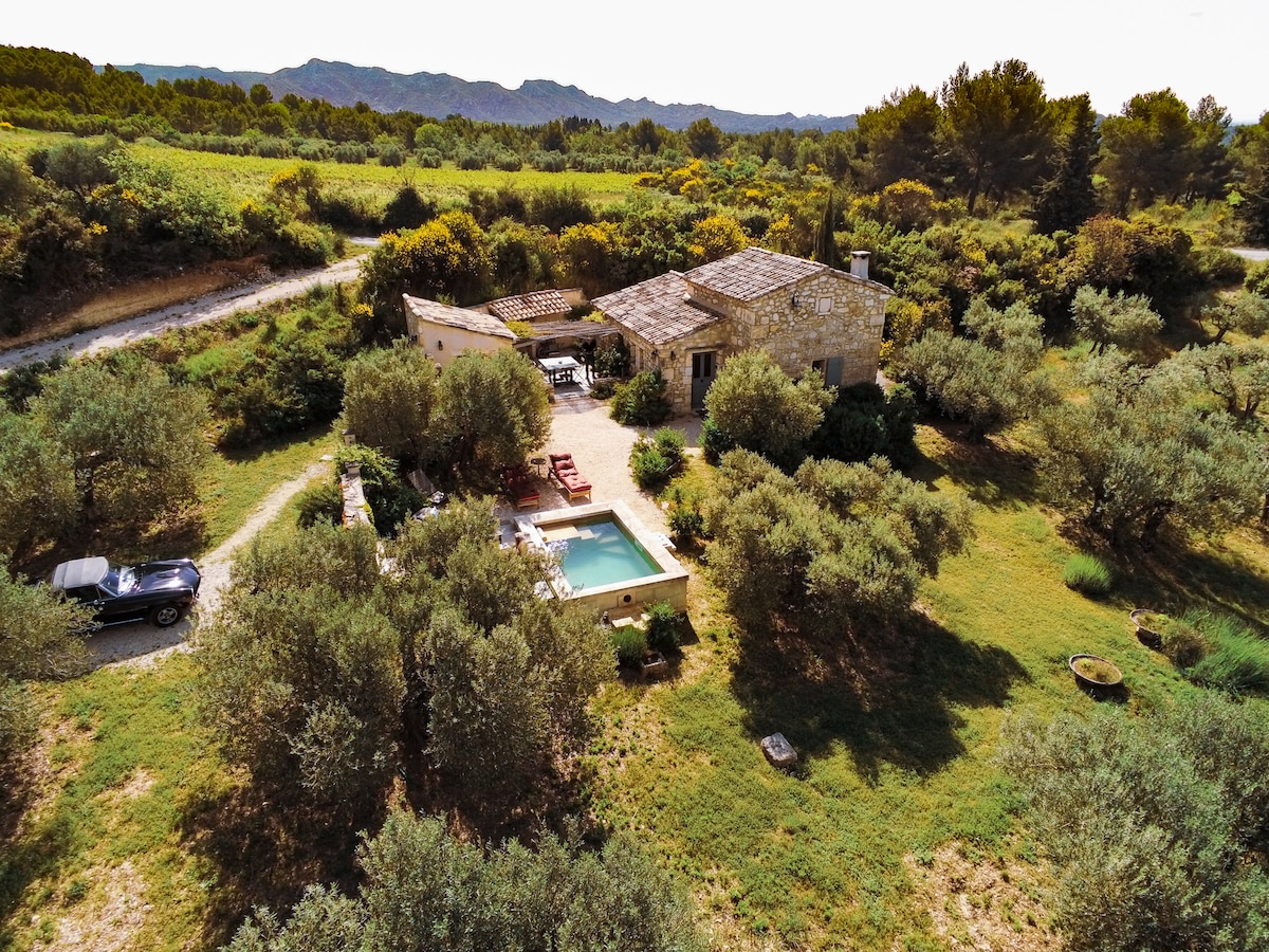 Le Mazet des Baux de Provence