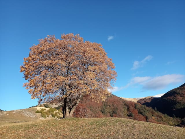 Châtillon-en-Diois的民宿