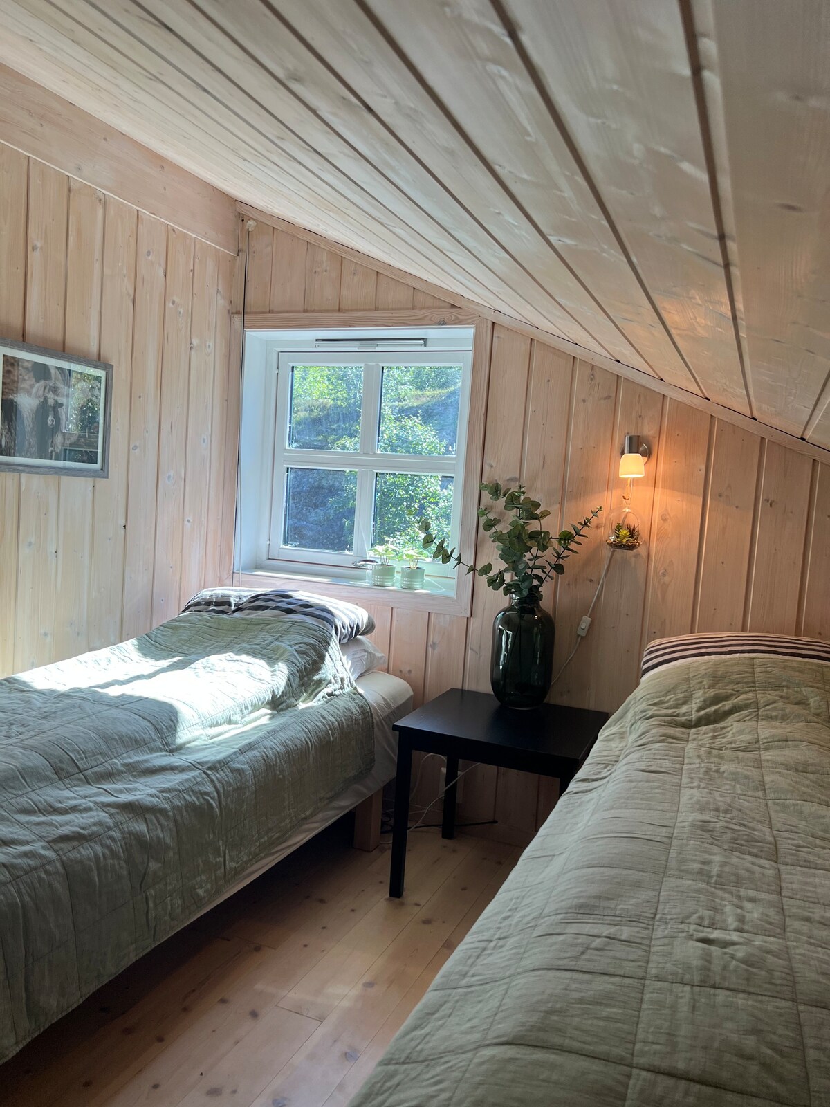 Vatnahalsen上的小木屋。Rallarvegen ！旅途愉快！