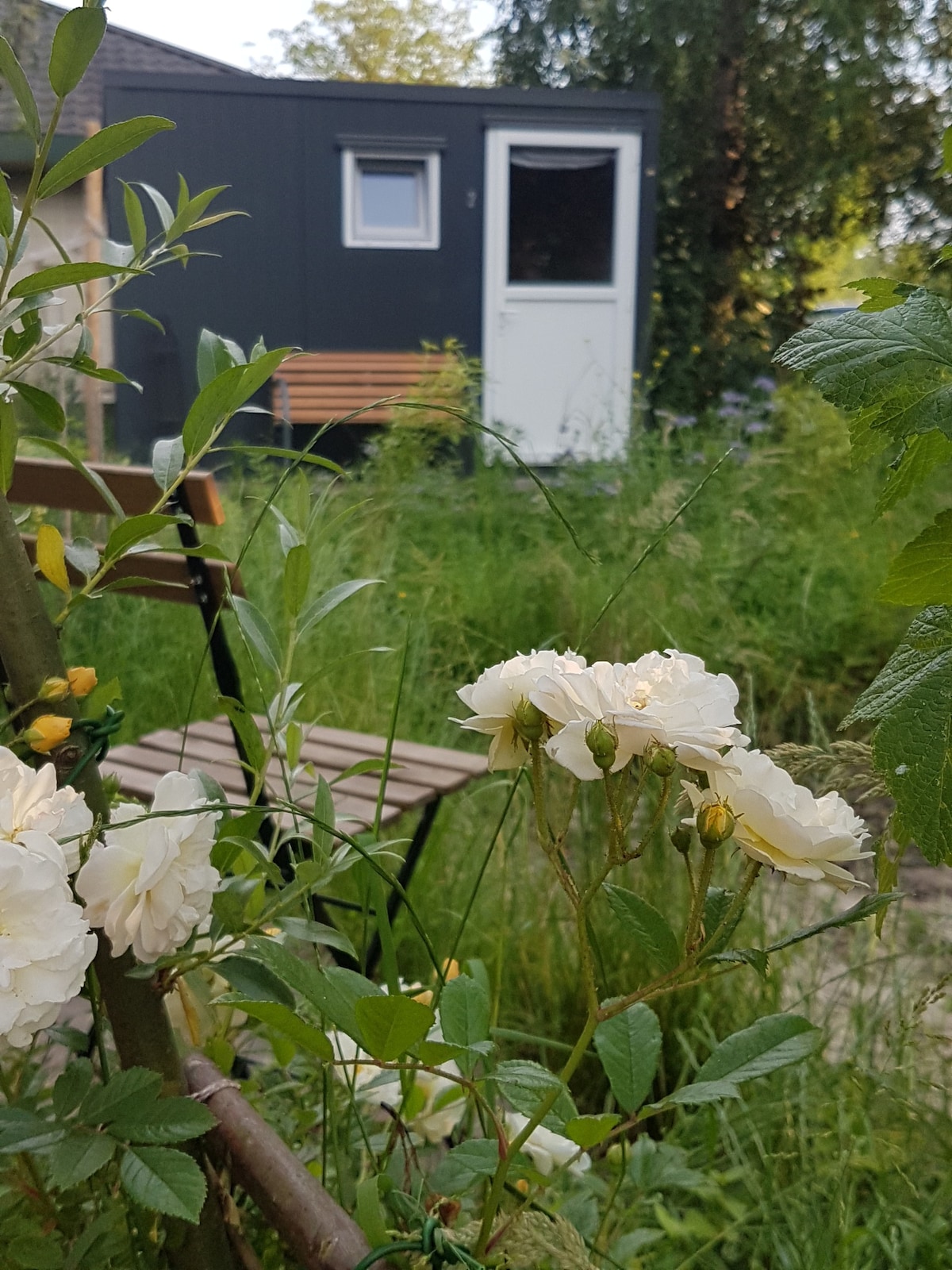 Simple 2-persons Cabin on Horse Farm