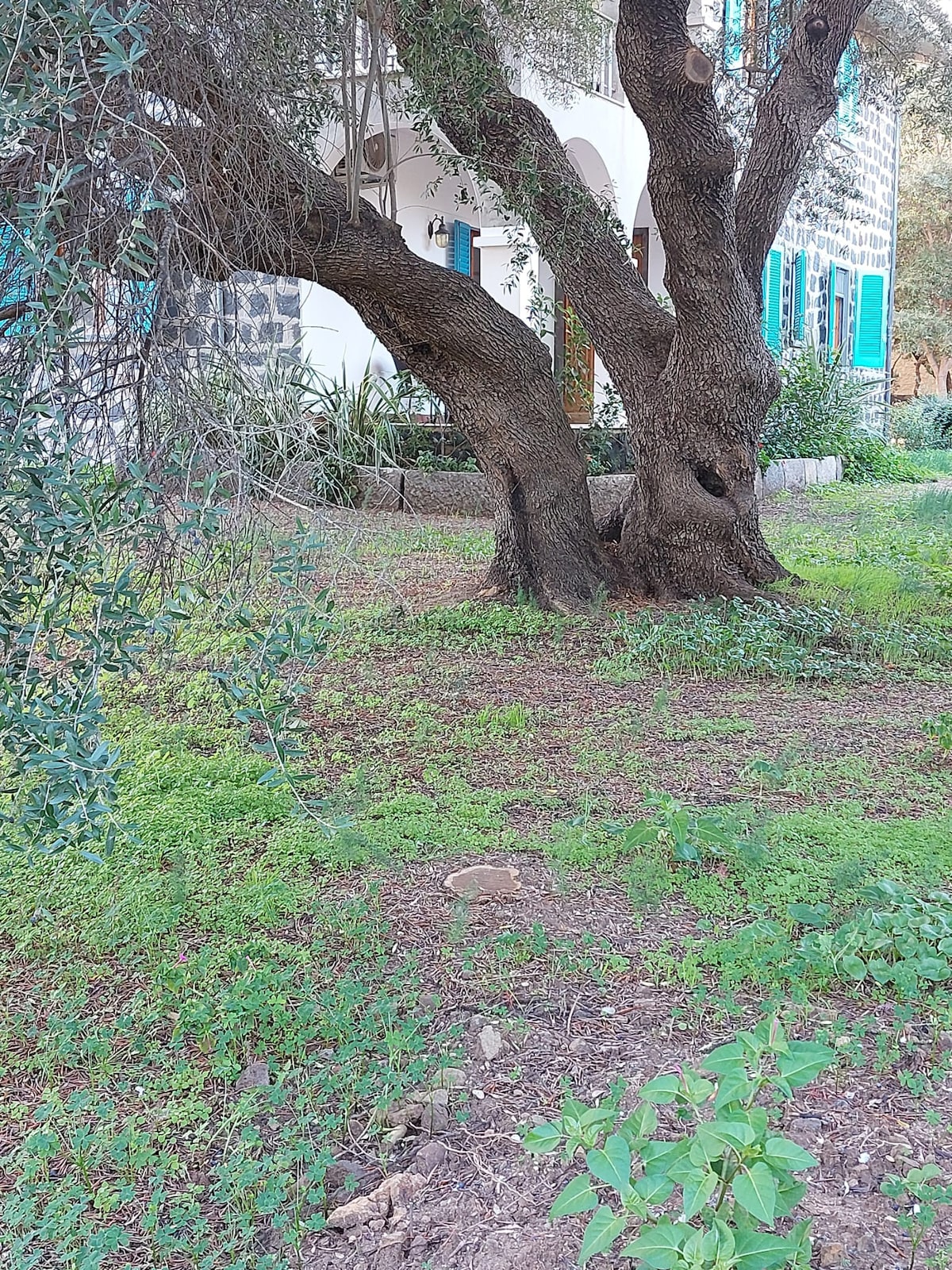 Cottage Sos Alinos sul mare