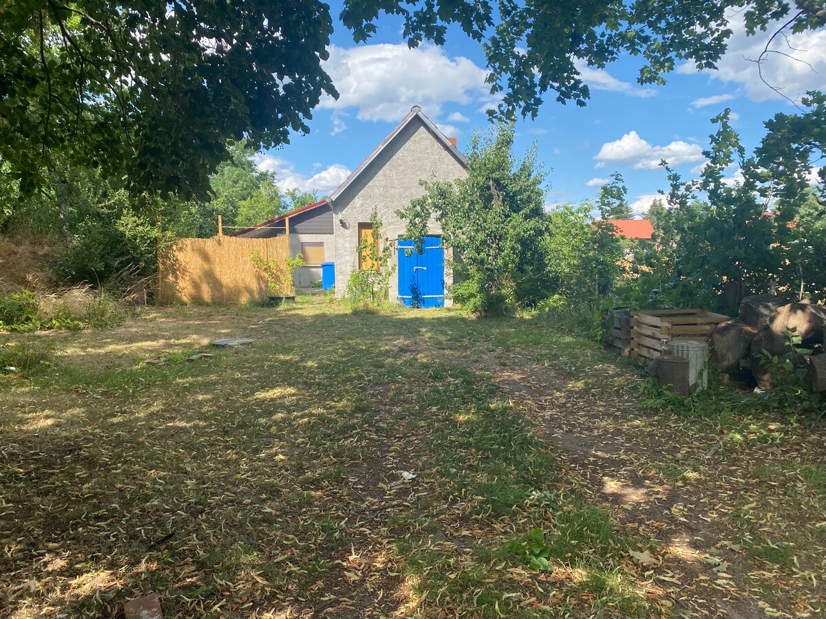 Behagliches Haus mit Grundstück im Oderbruch