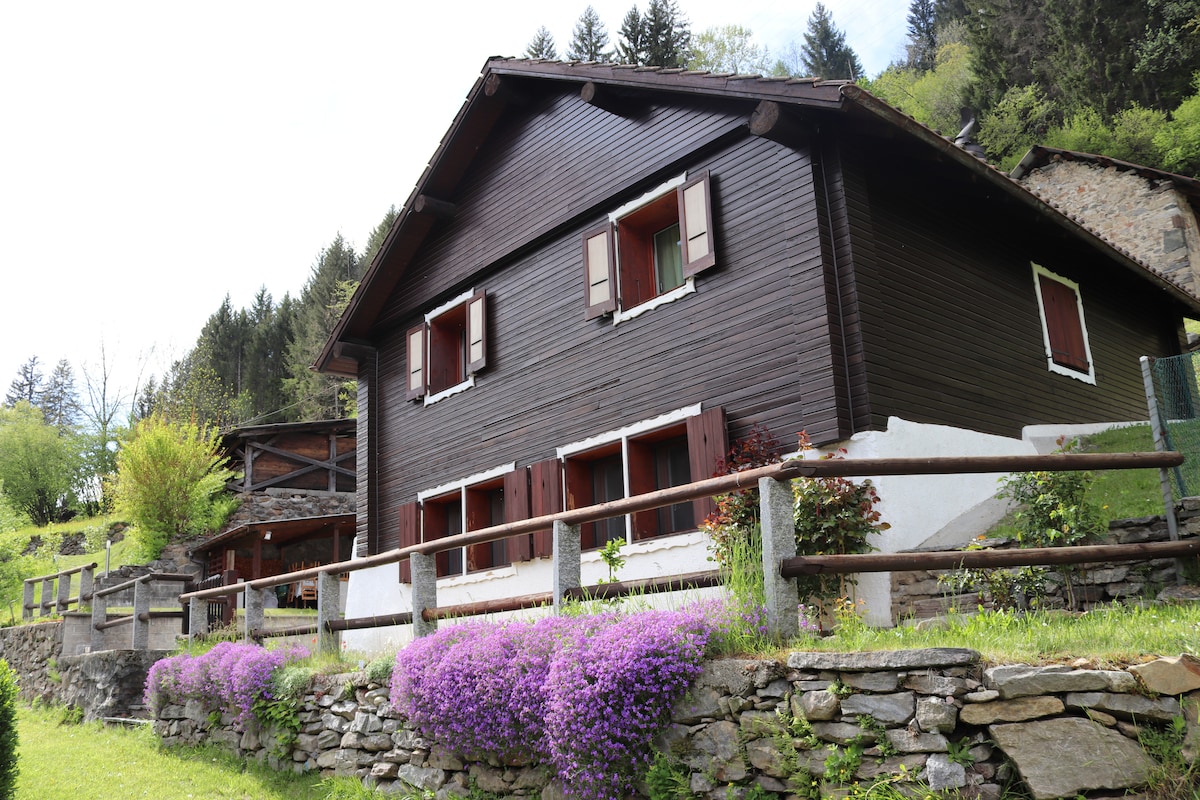 Chalet Re Desiderio in nature