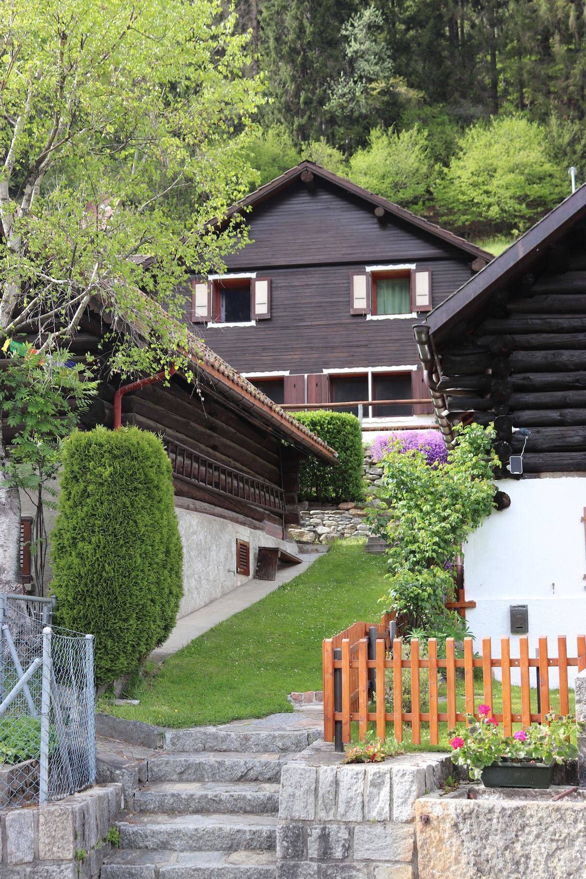 Chalet Re Desiderio in nature