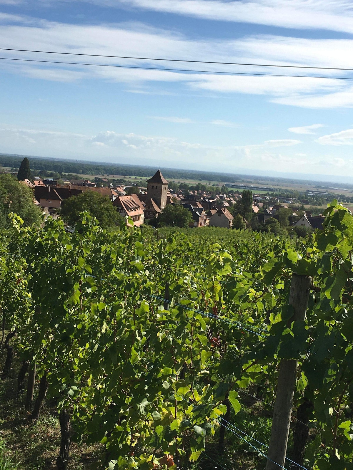 Belle Maison sur la route des vins+ recharge VE