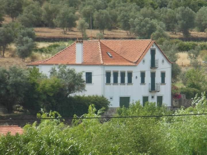 Quinta da Barbosa - Gouveia - Vila Cortês da Serra