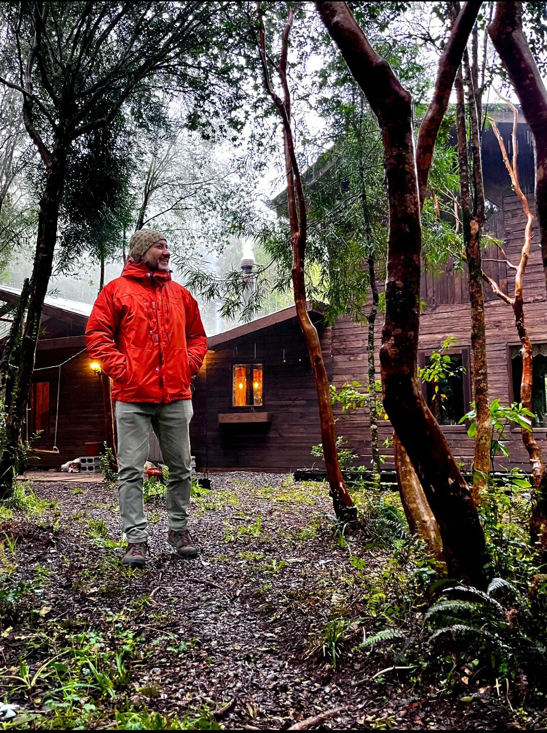 bienvenido a un bosque al Sur de Chile