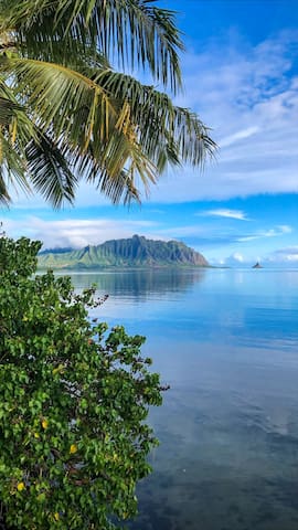 卡内奥黑(Kaneohe)的民宿