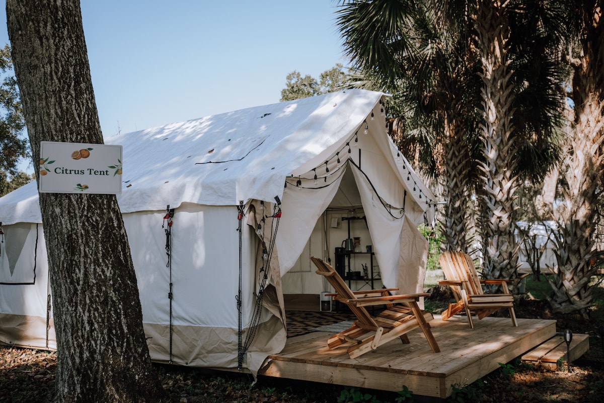 佛罗里达橙树林中的豪华露营|「柑橘」帐篷