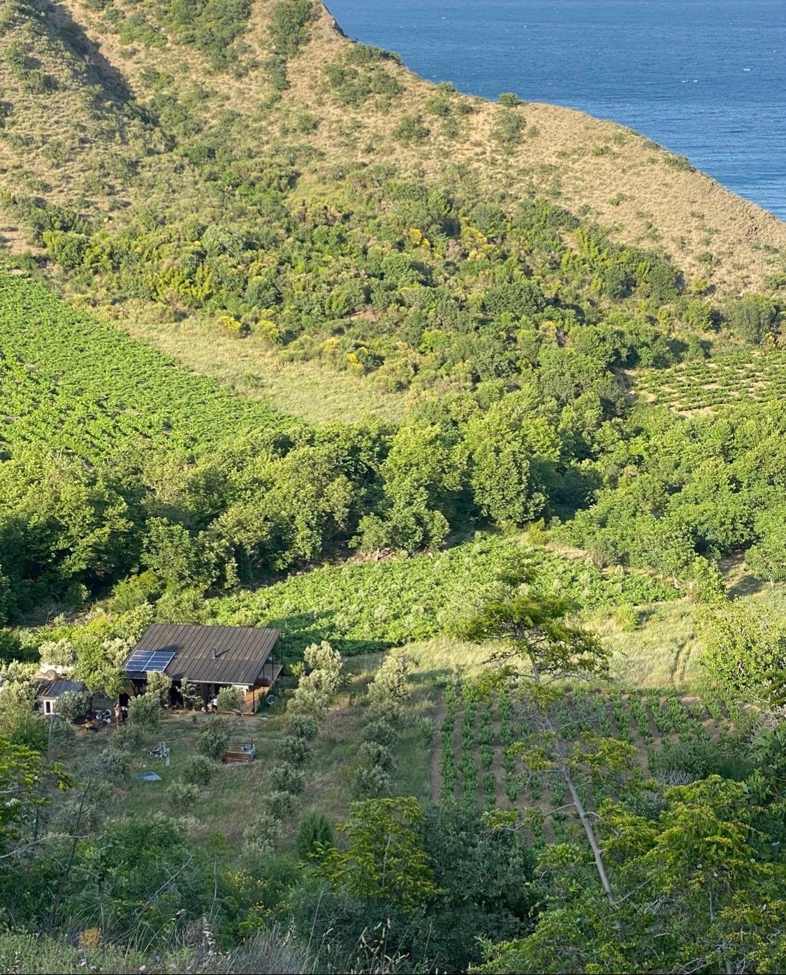 1001 House Off-Grid vineyard & olive orchard home.