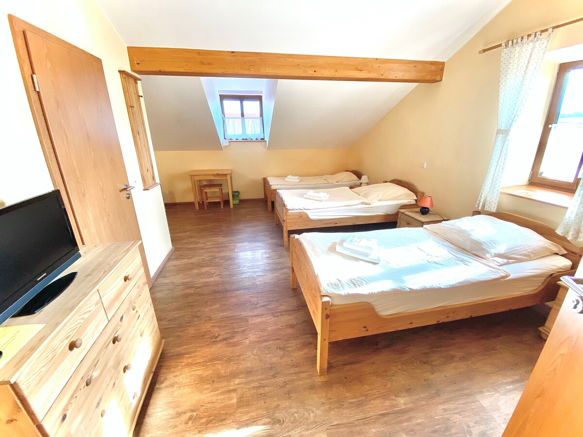 Schönes 4-Bett Zimmer mit eigenem Bad in Pension
